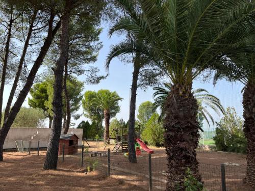 a playground with a palm tree and a slide at Casette Masseria La Camardia in Sava