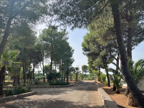 a tree lined road in a park with palm trees at Casette Masseria La Camardia in Sava