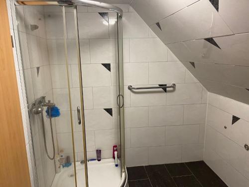 een douche met een glazen deur in de badkamer bij vasu Muthalagan in Aalen