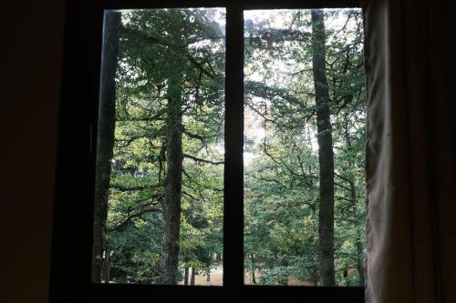a window looking out into a forest of trees at Lodge avec SPA privatif - Foret et Lac in Liginiac