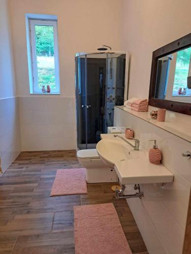 a bathroom with a sink and a shower and a toilet at Chata u Vajdov in Stará Lehota