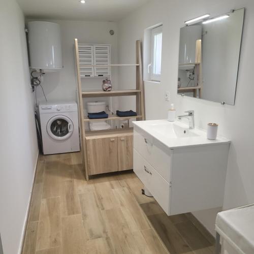 une salle de bain avec un lavabo et une machine à laver dans l'établissement La RoseDan, à Pianottoli-Caldarello