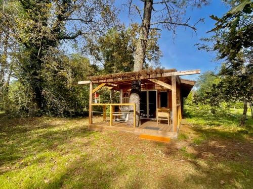 une petite cabine dans un champ avec un arbre dans l'établissement Cabane de charme en pleine forêt - Domaine Temali, à Labouheyre