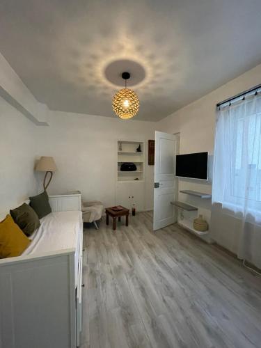 a living room with a bed and a television and a room with at Studio cosy quartier observatoire in Strasbourg