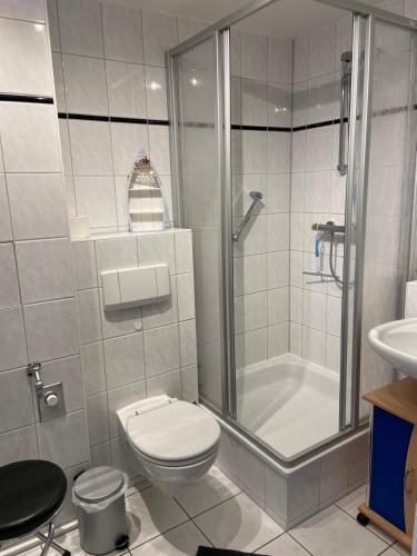 a bathroom with a shower and a toilet and a sink at Ferienwohnung Sellin in Ostseebad Sellin