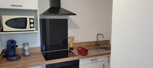 une petite cuisine avec un micro-ondes et un évier dans l'établissement logement avec terrasse, à Saint-Julien-lʼArs