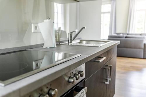 uma cozinha com um lavatório e uma bancada em Elbpanorama Lauenburg em Hohnstorf