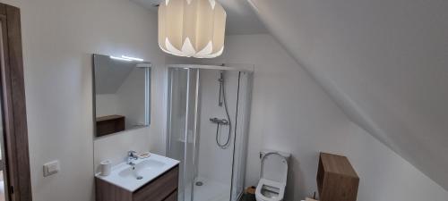 uma casa de banho branca com um chuveiro e um lavatório. em Maison DEOLS centre pour 1 a 2 personnes em Déols