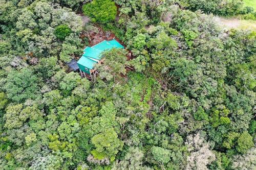 widok z góry na dom w lesie w obiekcie Casa Por Fin w mieście Monteverde