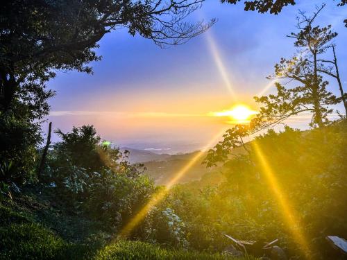 a view of the sun shining through the trees at Casa Por Fin in Monteverde Costa Rica