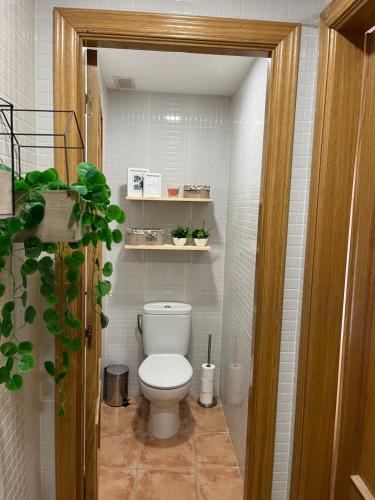 Casa Suu Valdelinares في فالديليناريس: حمام مع مرحاض في غرفة صغيرة