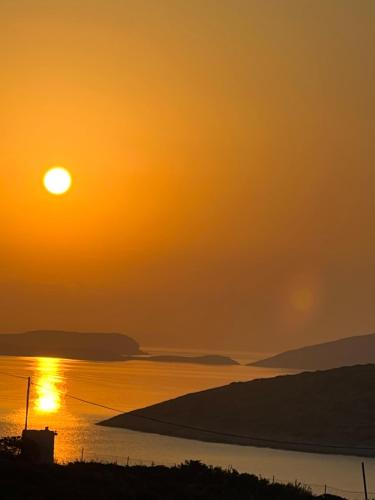 Alexandra’s studios