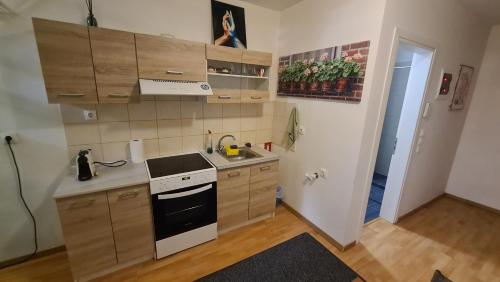 a kitchen with wooden cabinets and a stove top oven at Cozy Mezonette near City Center Athens near Metro Station in Athens