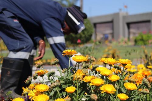 a man in a uniform is looking at yellow flowers at Boeketlong Lodge in Jane Furse