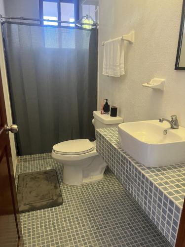 a bathroom with a toilet and a sink and a shower at HOTEL MILIN in Villa Comaltitlán