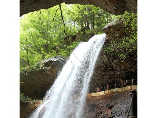 a waterfall under a bridge in a forest at Hotel Silk in Madarao - Vacation STAY 79652v in Iiyama