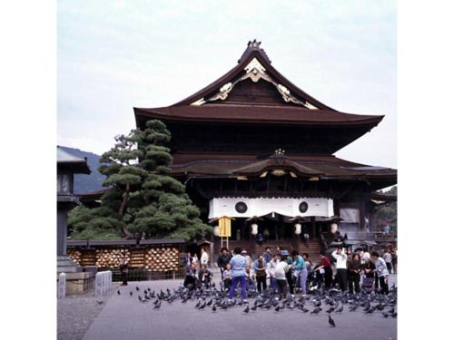 a group of birds standing in front of a pagoda at Hotel Silk in Madarao - Vacation STAY 79652v in Iiyama