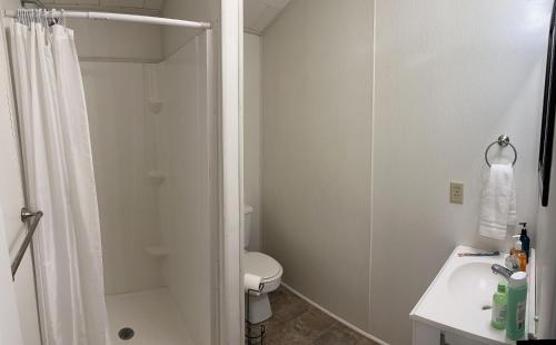 a bathroom with a shower and a toilet and a sink at Cypress Landing Cabins 