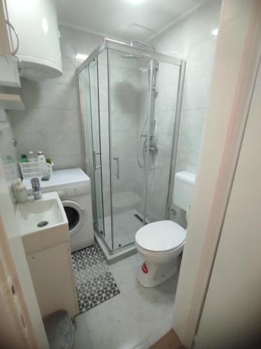 ein Bad mit einer Dusche, einem WC und einem Waschbecken in der Unterkunft Apartman Nicolas in Karaburma