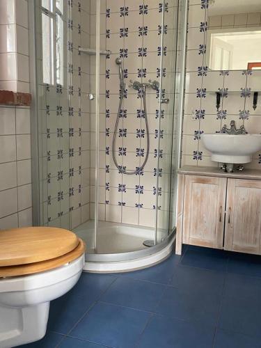 a bathroom with a shower and a toilet and a sink at Landdomizil Zeißig in Hoyerswerda