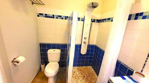 ein Bad mit einem WC und einer Dusche mit blauen Fliesen in der Unterkunft Sweet Payot : Studio avec Spa privé et piscine in Le Lamentin