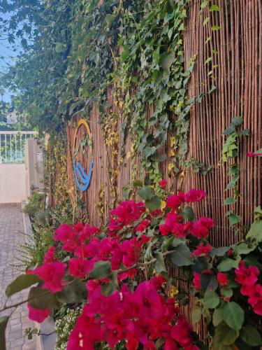 a wall with red flowers and vines at Casa do Albuquerque II in Sintra
