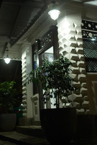 Fotografie z fotogalerie ubytování Medusa Bungalow - Galle v destinaci Galle