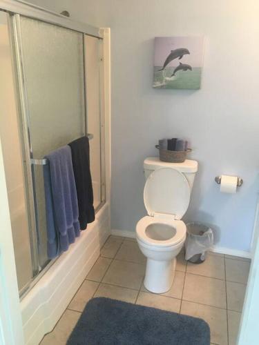 a bathroom with a toilet and a shower at Stunning Ocean Views - Whale House Hawaii in Hawaiian Paradise Park