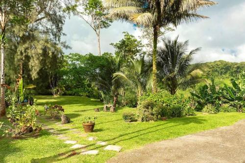 a lush green yard with palm trees and grass at Maison spacieuse à Saint-Joseph avec vue sur la mer in Saint-Joseph