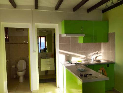 Una cocina con gabinetes verdes y un baño. en Appartement confortable avec vue sur mer à Bouillante, 50 m², en Bouillante