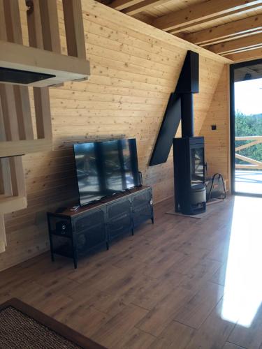 a living room with a tv and a wooden wall at Azalea Chalet in Divčibare