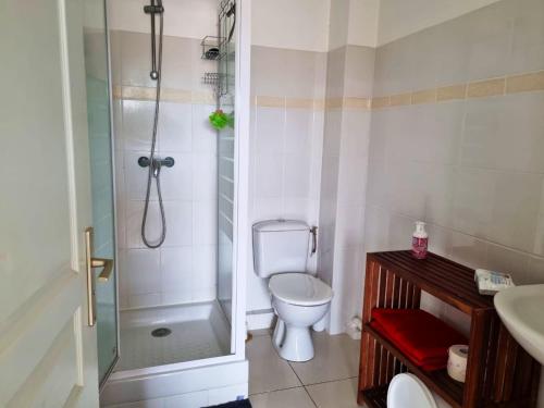 a bathroom with a shower and a toilet and a sink at Appartement charmant aux Trois-Îlets 40 m² avec balcon privé in Les Trois-Îlets
