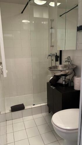 une salle de bain avec une douche, un lavabo et des toilettes dans l'établissement Haut-Marais Joli appartement., à Paris