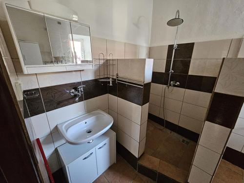 a small bathroom with a sink and a shower at Dvůr Radouš in Hostomice