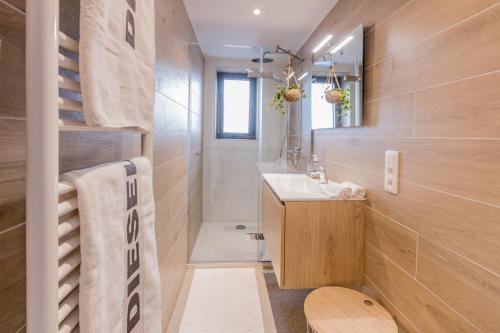 Baño pequeño con lavabo y espejo en Le Terrier Ovifat - Appartement entier Familial - Sauna & Massage, en Ovifat