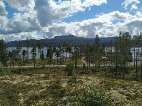 Naturlandskabet i nærheden af feriehuset