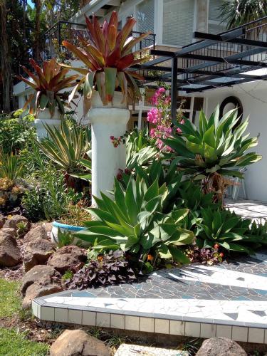 a garden with a white vase with plants in it at Belairberry in Berry