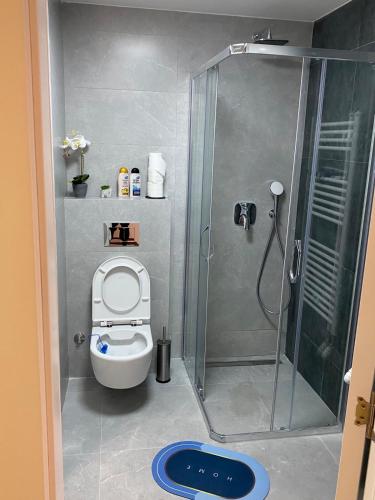 a small bathroom with a shower and a toilet at Vrtovi Ceraka in Belgrade