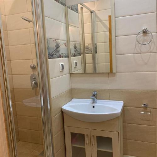 a bathroom with a sink and a mirror at Graz Narek house 6 in Altenfelden