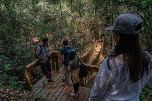 a group of people walking on a wooden bridge at Reserva Natural Iguazú - Pristine Luxury Camp in Puerto Libertad