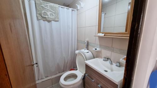 a bathroom with a toilet and a sink and a shower at Departamento Alejandra in Ushuaia