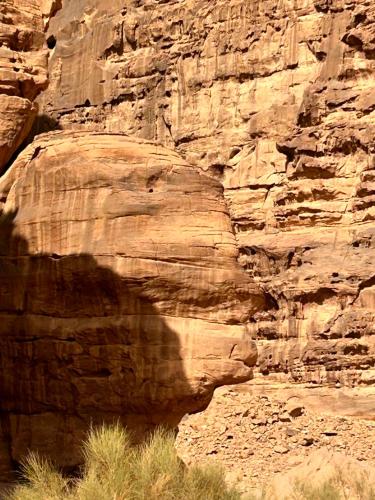 Gallery image of RUM SOLERA lUXURY CAMP in Wadi Rum