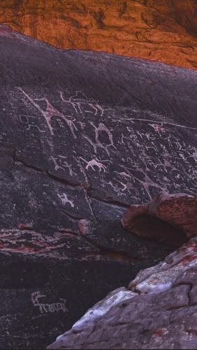 Gallery image of RUM SOLERA lUXURY CAMP in Wadi Rum