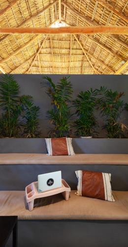 Un lugar para sentarse en the SPACE Jungle Oasis