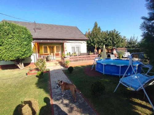 Holiday home in Siofok - Balaton 45811