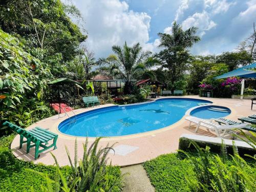 a large swimming pool with a green bench and chairs at Cabañas Bambu Mindo in Mindo