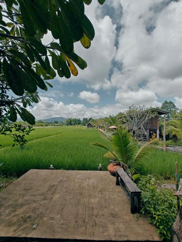 hueankwankao เฮือนขวัญข้าวにある庭