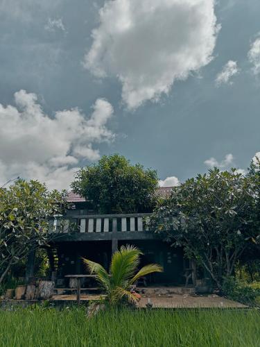 hueankwankao เฮือนขวัญข้าวにある庭