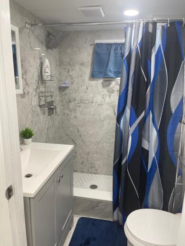 a bathroom with a shower curtain and a toilet at A cool unique place from home in Elmont