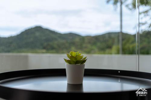 a small green plant sitting on top of a table at Windmill Upon Hills Premium Suite By Rapi Stay in Genting Highlands